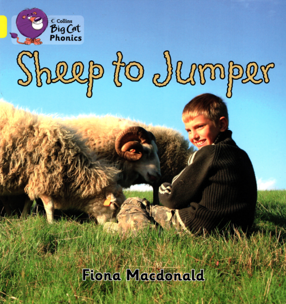 sheep to jumper